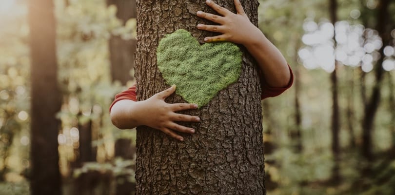 Environmental Awareness